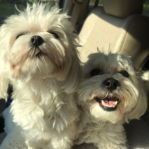 Meet your Posher, Kally